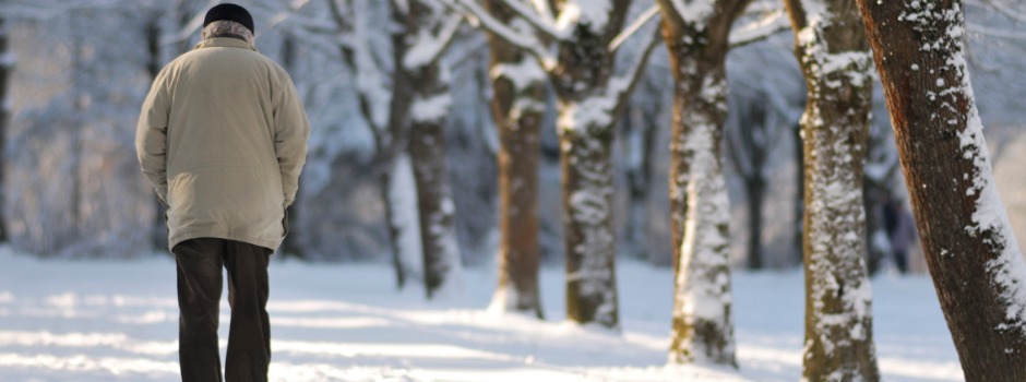 Back Of Older Male Adult Walking In Snowcovered Woods 