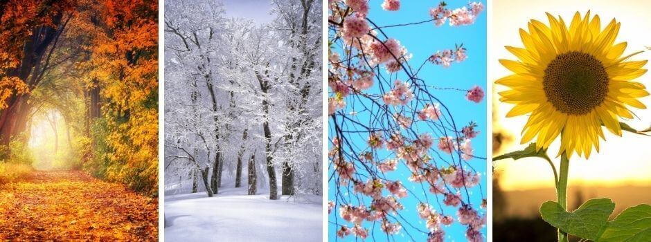 Seasonal changes side-by-side horizontal
