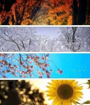 Seasonal changes side-by-side vertical
