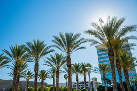 California